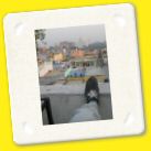 D16 Agra2 (44).jpg